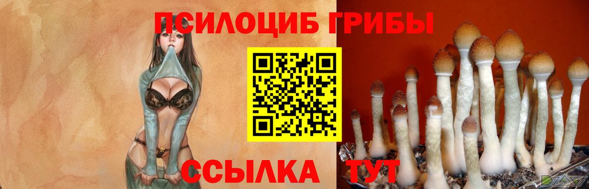 где продают   Вход с VPN  Кропоткин  Галлюциногенные грибы GOLDEN TEACHER 